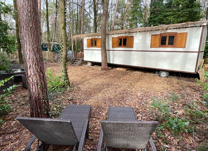Verblijf 056616 • Vakantiewoning Limburg • Pipowagen de Zwaan in Hoge Kempen nabij Maastricht