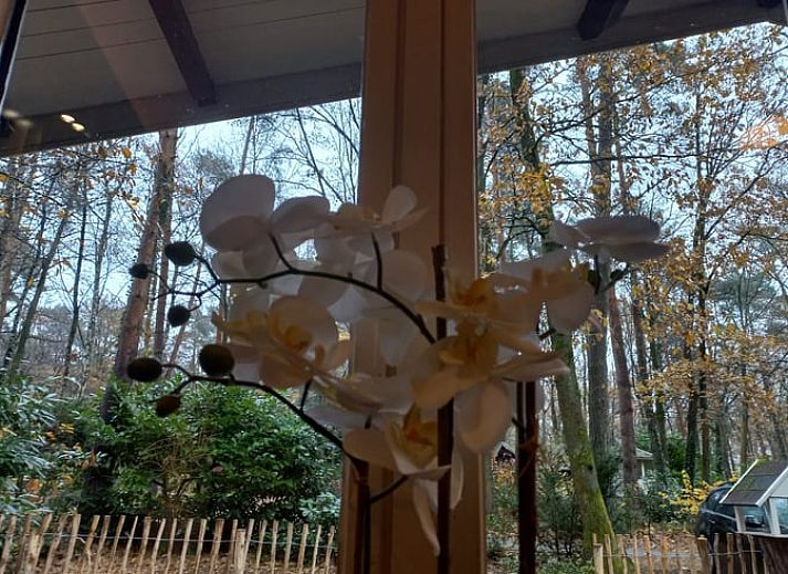 Unterkunft 056624 - Ferienhaus Limburg - Vakantiehuisje in Lanaken gellik