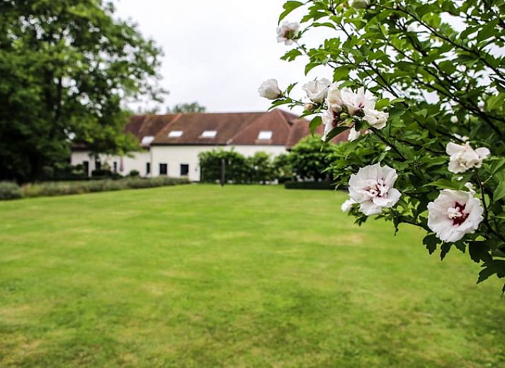 Guest house 057904 • Holiday property Limburg • Vakantiehuisje in Alken