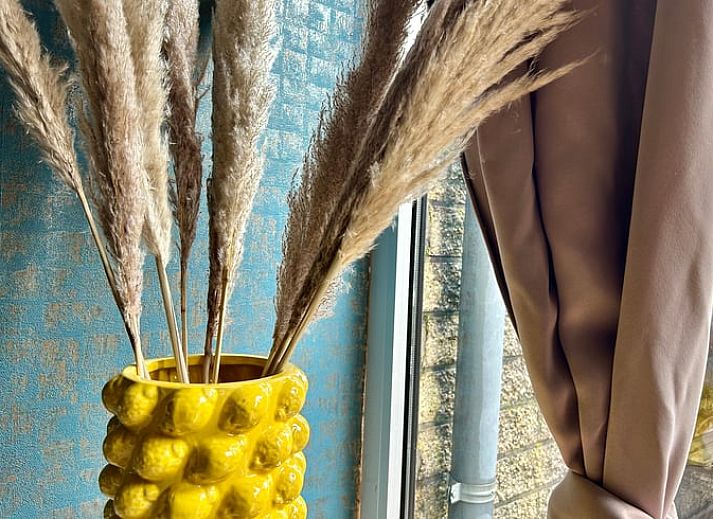 Guest house 060323 - Holiday property Liege - Vakantiehuis in Malmedy