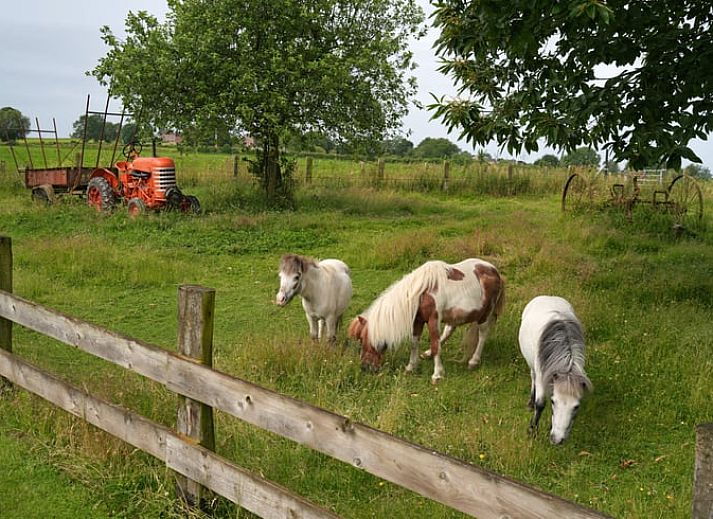 Exterior of Holiday home in Hombourg, Ardennes, with rainbow and green surroundings, idyllic location for a vacation in Belgium.
