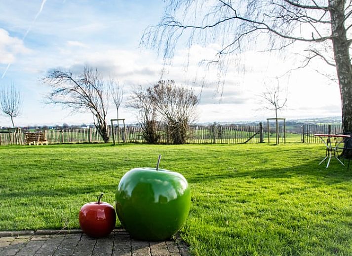 Beautiful view of nature from the garden of Cottage in Aubel, bed and breakfast in the Ardennes, with wide green fields.