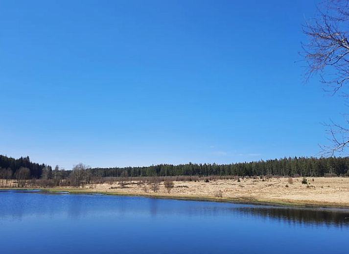 Guest house 0612008 - Holiday property Liege - Vakantiehuis in Xhoffraix