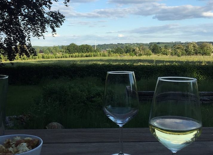 Guest house 0612008 - Holiday property Liege - Vakantiehuis in Xhoffraix