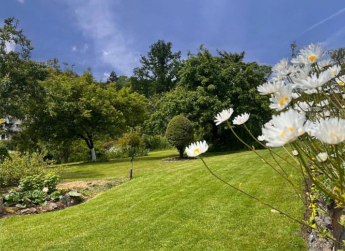 Gezellig terras bij vakantiehuis Alegria in Trois-Ponts, Ardennen, ideaal voor buiten dineren.
