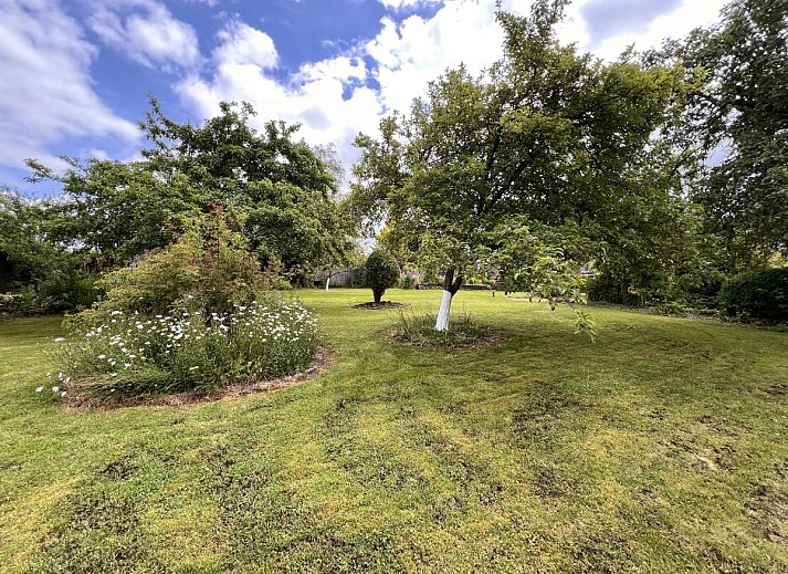 Gezellig terras bij vakantiehuis Alegria in Trois-Ponts, Ardennen, ideaal voor buiten dineren.