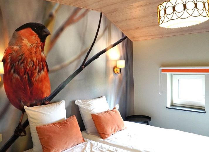 Moderne Kueche in Petite Perle en Haute Ardenne, Ferienhaus in Jevigne, Ardennen, ideal fuer kulinarische Erlebnisse.