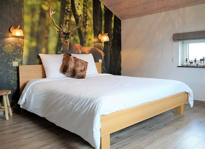 Moderne Kueche in Petite Perle en Haute Ardenne, Ferienhaus in Jevigne, Ardennen, ideal fuer kulinarische Erlebnisse.