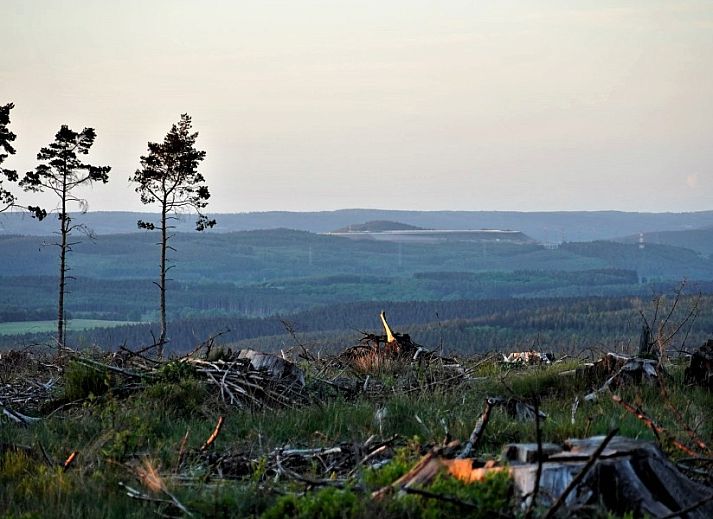 Gemuetlicher Essbereich mit Blick auf den Schnee in Petite Perle en Haute Ardenne, Ferienhaus in Jevigne, Ardennen, Belgien.