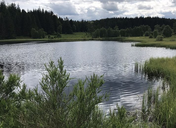 Stijlvolle keuken in Agence-en-Douane vakantiehuis, Butgenbach, Ardennen, Belgie met luxe voorzieningen.