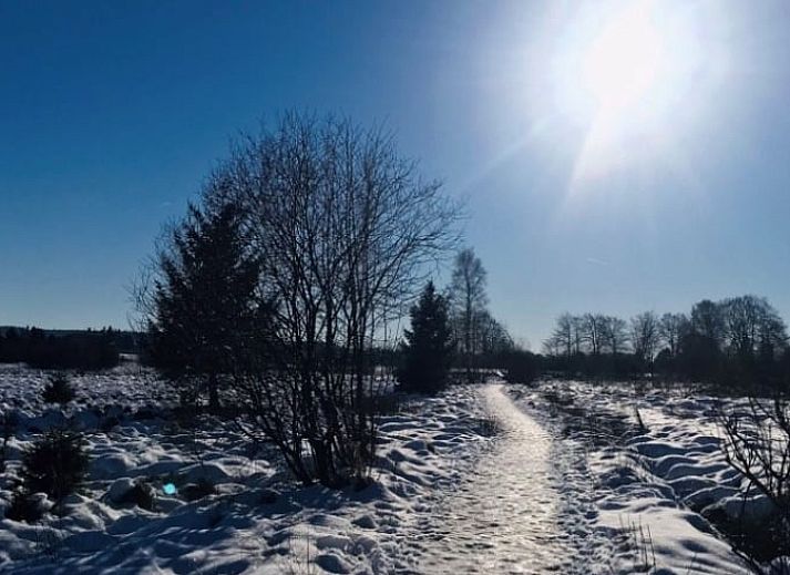 Knusse woonkamer in Vakantiehuis in Stavelot, Ardennen, met comfortabele zithoek en houten interieur.