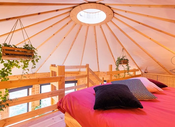 Entspannen Sie sich auf der Terrasse von Holiday home in Hannut, einem charmanten Ferienhaus in den ruhigen Ardennen, Luettich, Belgien.