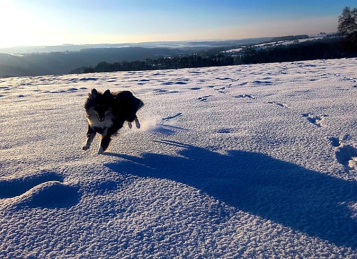 Schnee bedeckt die Huette in Comblain au Pont, einem charmanten Holzferienhaus in den winterlichen Ardennen, Luettich, Belgien.