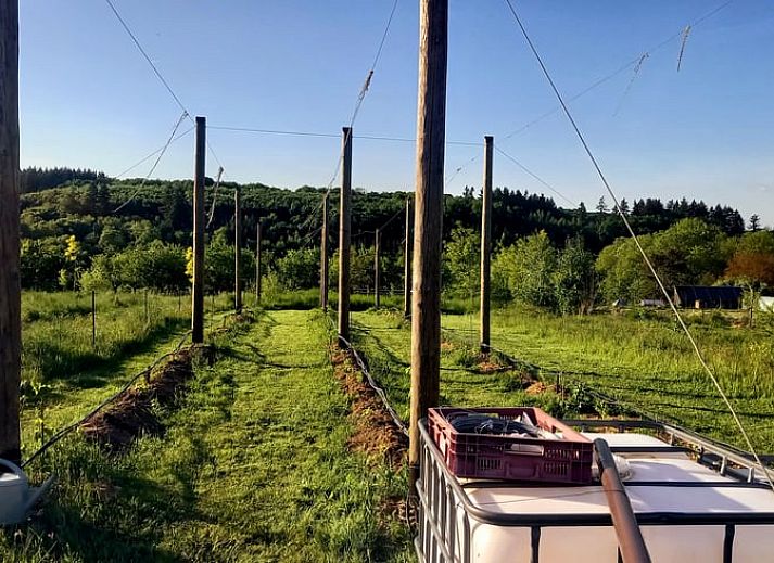 Schnee bedeckt die Huette in Comblain au Pont, einem charmanten Holzferienhaus in den winterlichen Ardennen, Luettich, Belgien.