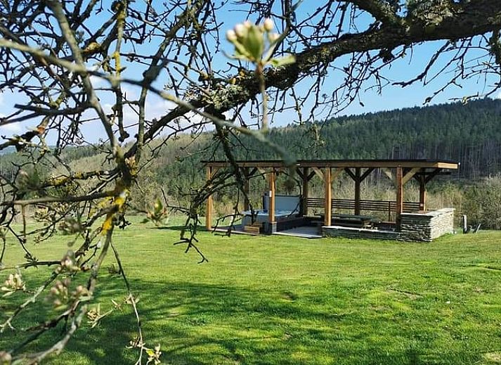Guest house 062019 - Holiday property Liege - Vakantiehuisje in Lierneux