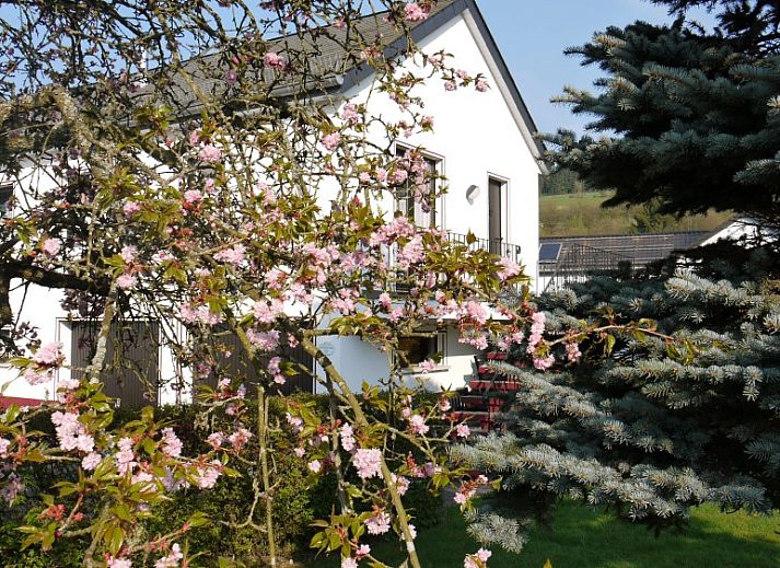 Ferienhaus Huwels - Kessler, vakantiehuis in Schonberg, Ardennen, met kleurrijke bloemen aan de gevel.