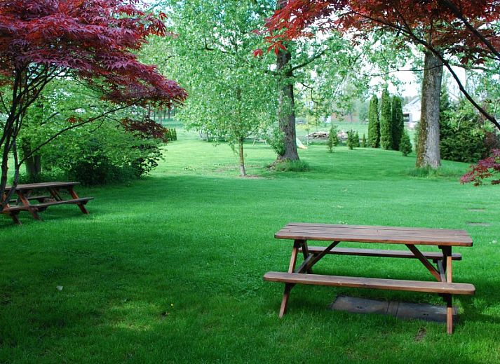 Gites d'Ogne vakantiehuis in Sprimont-Ogne, Ardennen, Belgie met prachtige stenen gevel en weelderige groene omgeving.