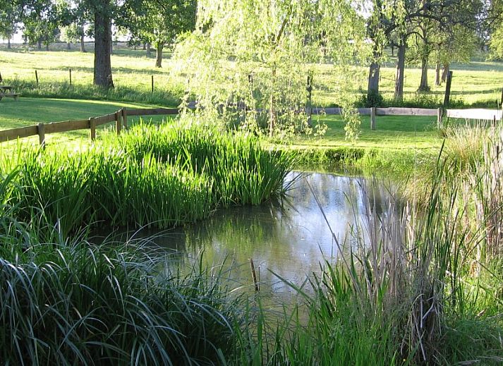 Gites d'Ogne vakantiehuis in Sprimont-Ogne, Ardennen, Belgie met prachtige stenen gevel en weelderige groene omgeving.