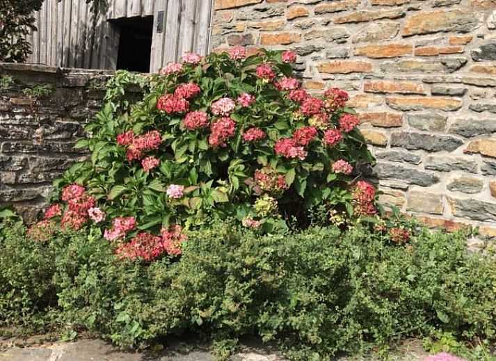 Geniet van het ruime terras bij Vakantiehuis in Waimes, gelegen in de Ardennen, Luik, Belgie. Ideale plek voor een ontspannen verblijf.