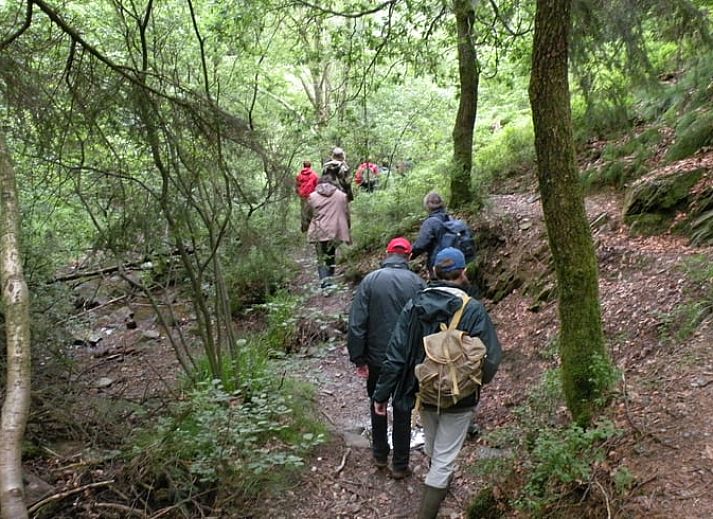 Geniet van het prachtige uitzicht op de natuur vanuit Vakantiehuis in Waimes/Weismes, gelegen in de Ardennen, Luik, Belgie.