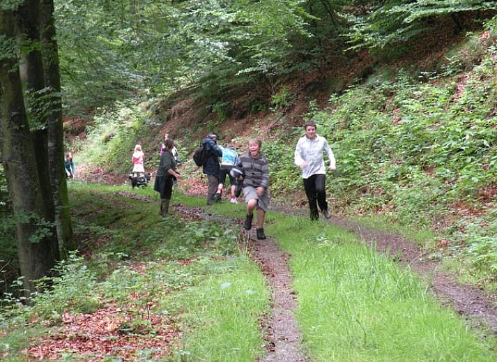 Charmante tuin bij Vakantiehuis in Waimes/Weismes, gelegen in de Ardennen, Luik, Belgie. Geniet van de natuur en rust in dit vakantieverblijf.