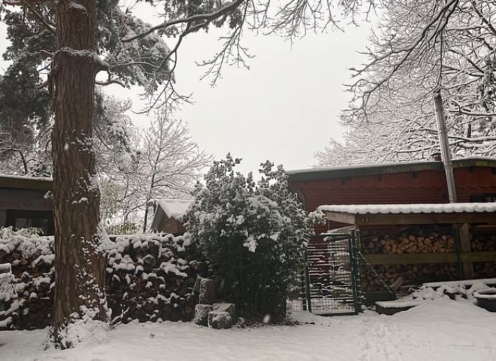 Festive decorations in Cottage in Kelmis, cottage in Kelmis, Ardennes, Belgium, with a nostalgic atmosphere.