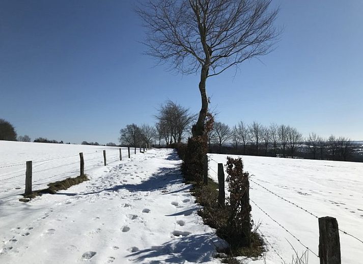 Guest house 065701 - Holiday property Liege - VENNHAUS 33p