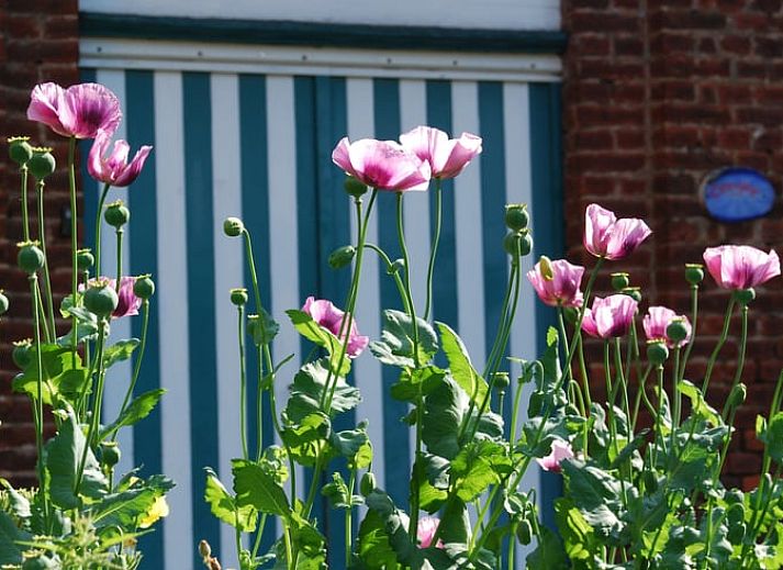 Guest house 0659407 - Holiday property Liege - Vakantiehuis in Mortier