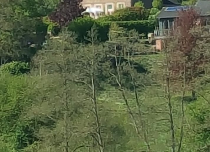 Verblijf 0668203 - Vakantiewoning Ardennen (Luik) - Vakantiehuis in Sankt Vith