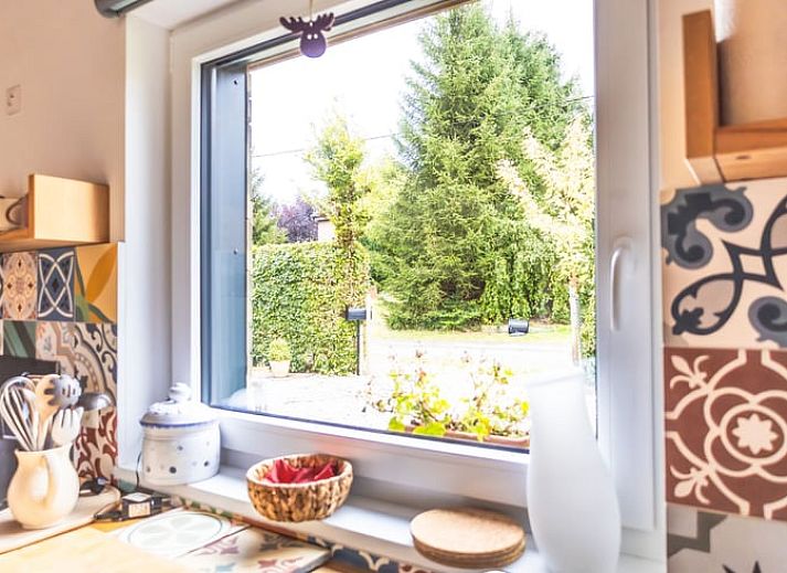 Gruener Gartenweg beim Ferienhaus in Kuechelscheid, einem gemuetlichen Ferienhaus in den Ardennen, Luettich, Belgien, umgeben von Natur.