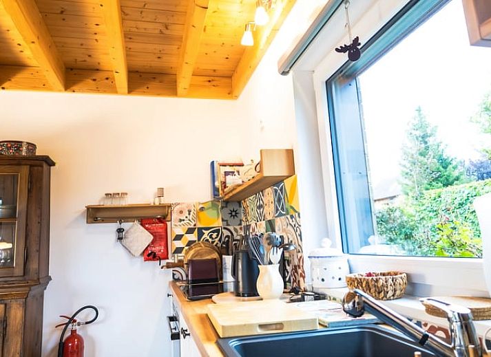 Gruener Gartenweg beim Ferienhaus in Kuechelscheid, einem gemuetlichen Ferienhaus in den Ardennen, Luettich, Belgien, umgeben von Natur.