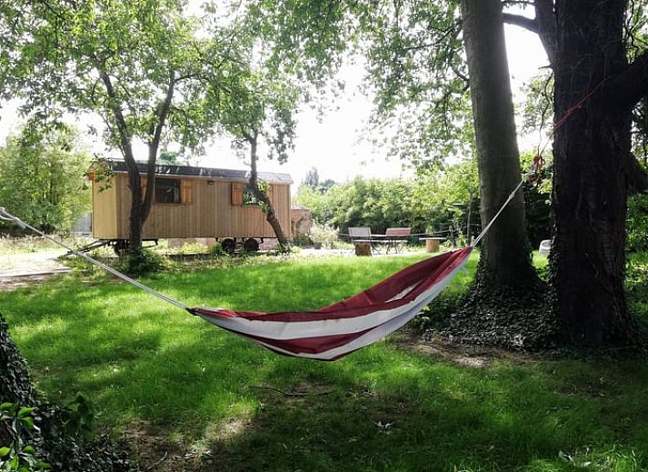 Verblijf 070408 • Bed and breakfast Antwerpen • De Steenen Molen B&B