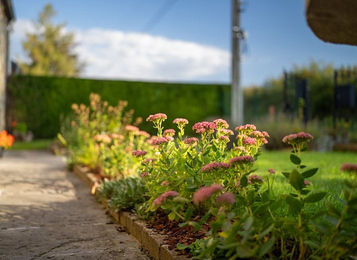Enjoy the tranquility of the garden of Holiday Home in Sivry, Hainaut, Belgium, with a charming stone terrace and green surroundings.