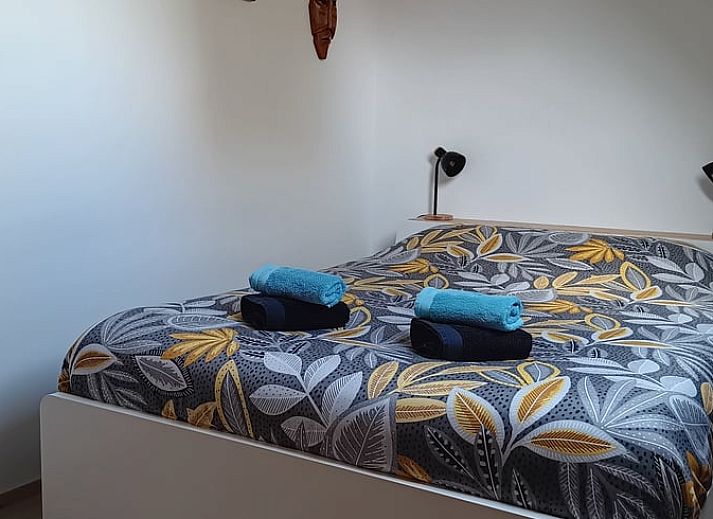 Discover the blooming garden at Holiday Home in Sivry, Hainaut, Belgium, where colorful flowers highlight the natural beauty.