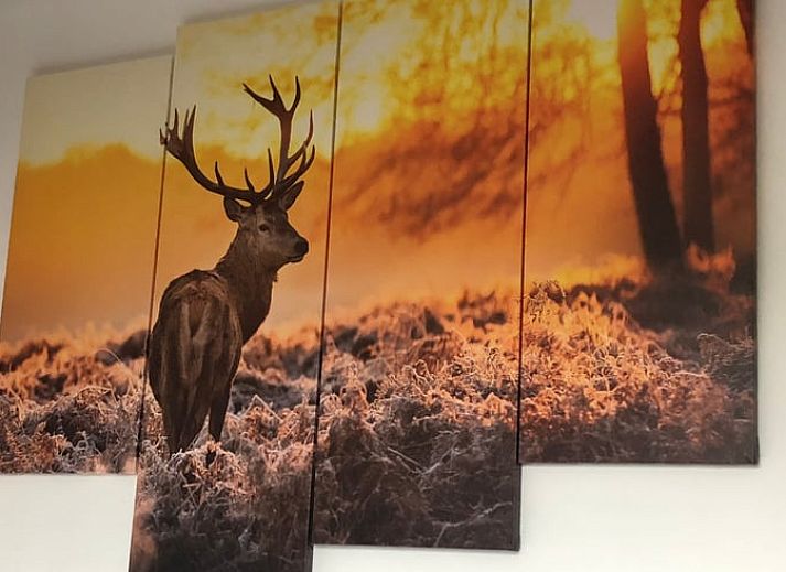 Discover the blooming garden at Holiday Home in Sivry, Hainaut, Belgium, where colorful flowers highlight the natural beauty.