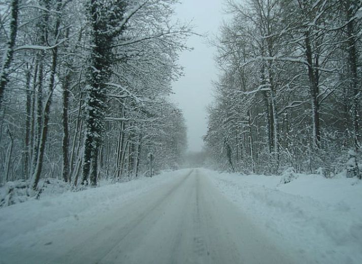 Spacious kitchen and dining room in Holiday cottage in Sivry, Hainaut, Belgium, ideal for cozy dinners with wooden interior.