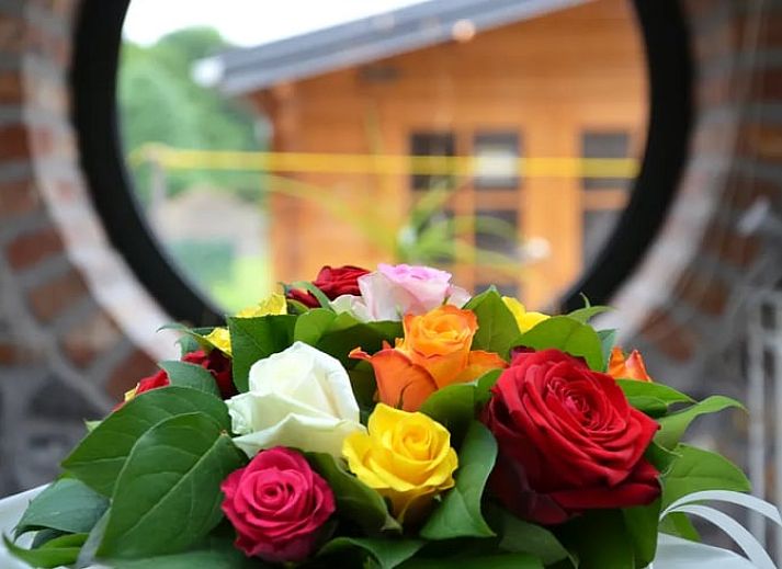 Guest house 0712301 - Holiday property Hainaut - Vakantiehuisje in Sautin