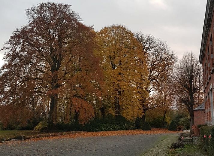 Modern kitchen with wooden details in Holiday home in Sars-la-Bruyere, Hainaut, Belgium.