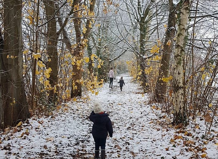 Modern kitchen with wooden details in Holiday home in Sars-la-Bruyere, Hainaut, Belgium.