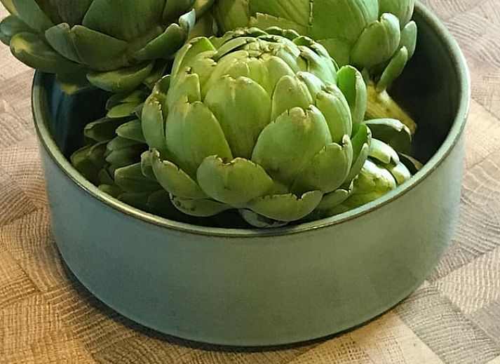 Discover the historic charm of Ellezelles at Holiday home in Elzele, a vacation home in Hainaut, Belgium.