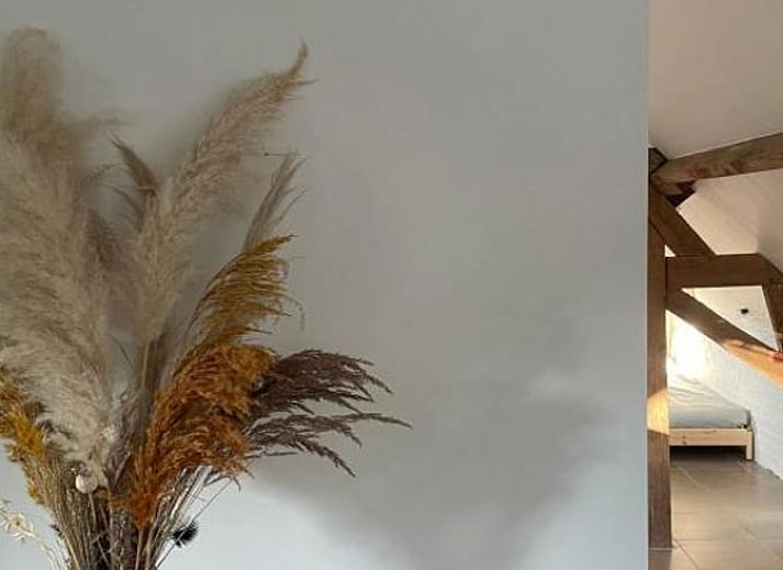 Unterkunft 072808 - Ferienhaus Hennegau - Vakantiehuis in Elzele
