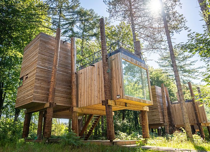 Unterkunft 0735610 - Bungalow Hennegau - 2-4 persoons The Treeloft | 2-4TH