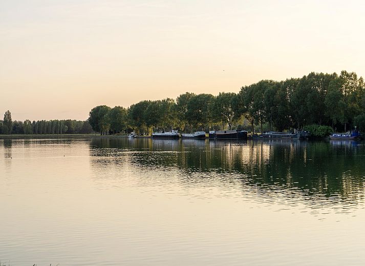 Guest house 07356120 - Chalet Hainaut - The Easy Accessible Leaf by YourNature