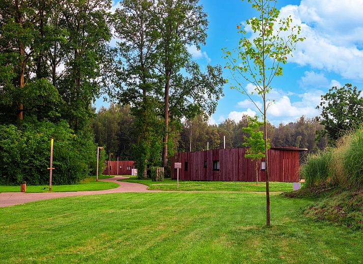 Unterkunft 07356126 - Chalet Hennegau - The Easy Accessible Leaf by YourNature