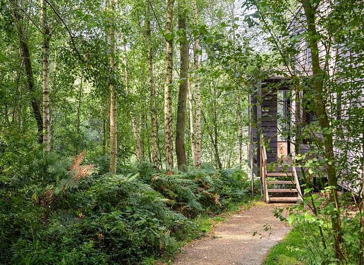 Unterkunft 07356131 - Ferienhaus Hennegau - The Lake House by YourNature