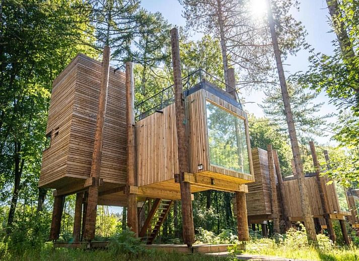 Unterkunft 07356145 - Ferienhaus Hennegau - The TreeLoft by YourNature