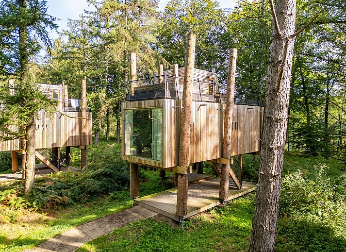 Unterkunft 07356145 - Ferienhaus Hennegau - The TreeLoft by YourNature