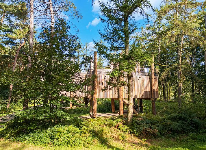 Unterkunft 07356145 - Ferienhaus Hennegau - The TreeLoft by YourNature
