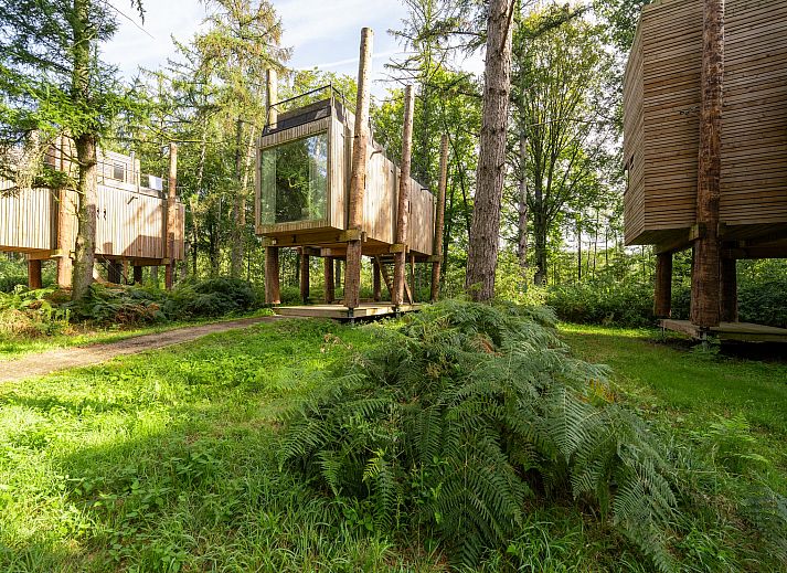 Unterkunft 07356145 - Ferienhaus Hennegau - The TreeLoft by YourNature