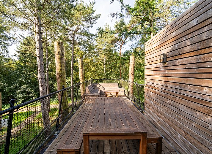 Unterkunft 07356145 - Ferienhaus Hennegau - The TreeLoft by YourNature